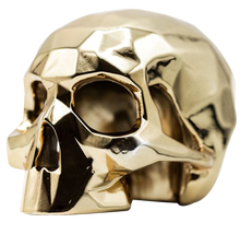 Charger l'image dans la visionneuse de la galerie, Sculpture Crâne Richard ORLINSKI + Vitrine