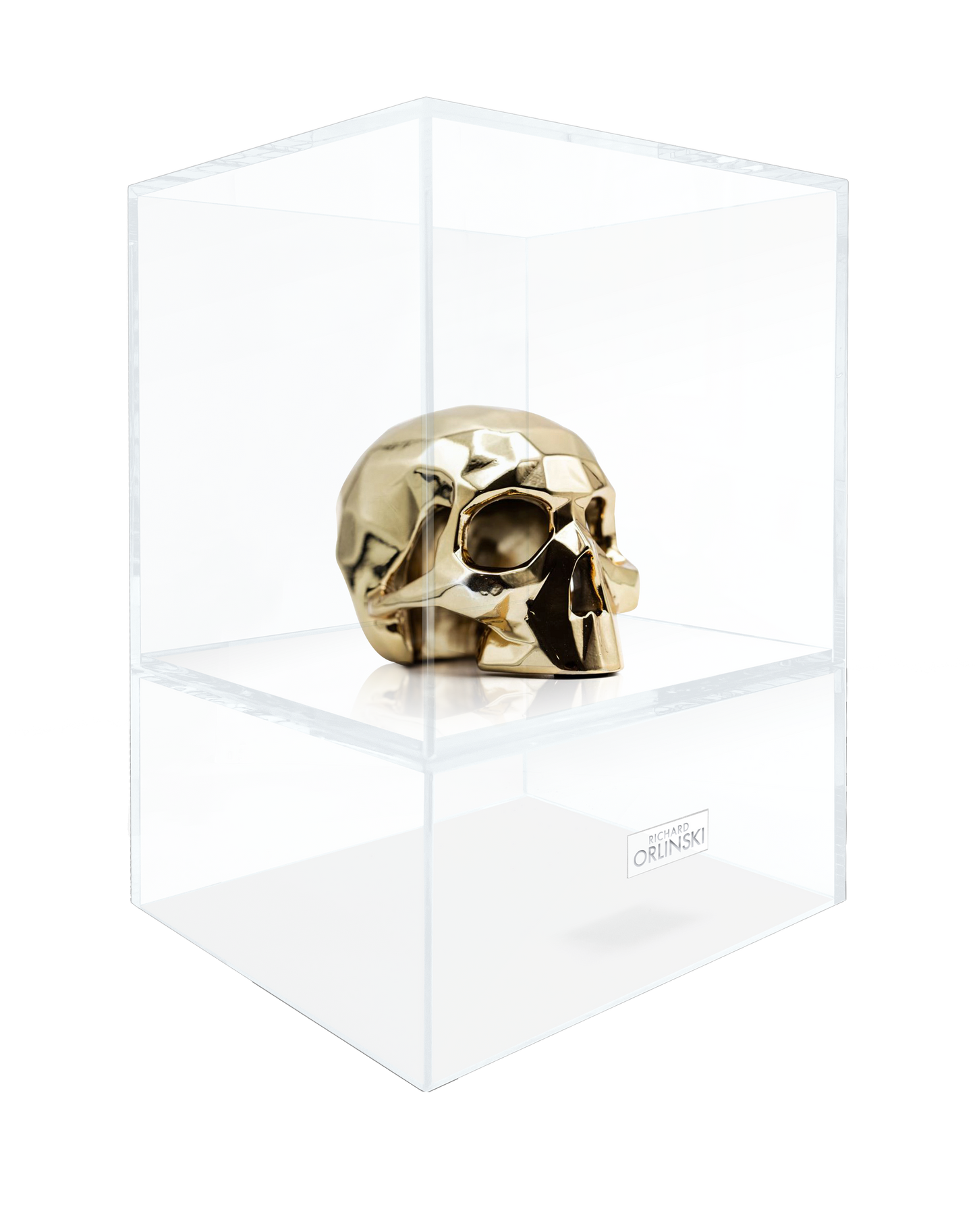 Sculpture Crâne Richard ORLINSKI + Vitrine