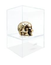 Charger l'image dans la visionneuse de la galerie, Sculpture Crâne Richard ORLINSKI + Vitrine