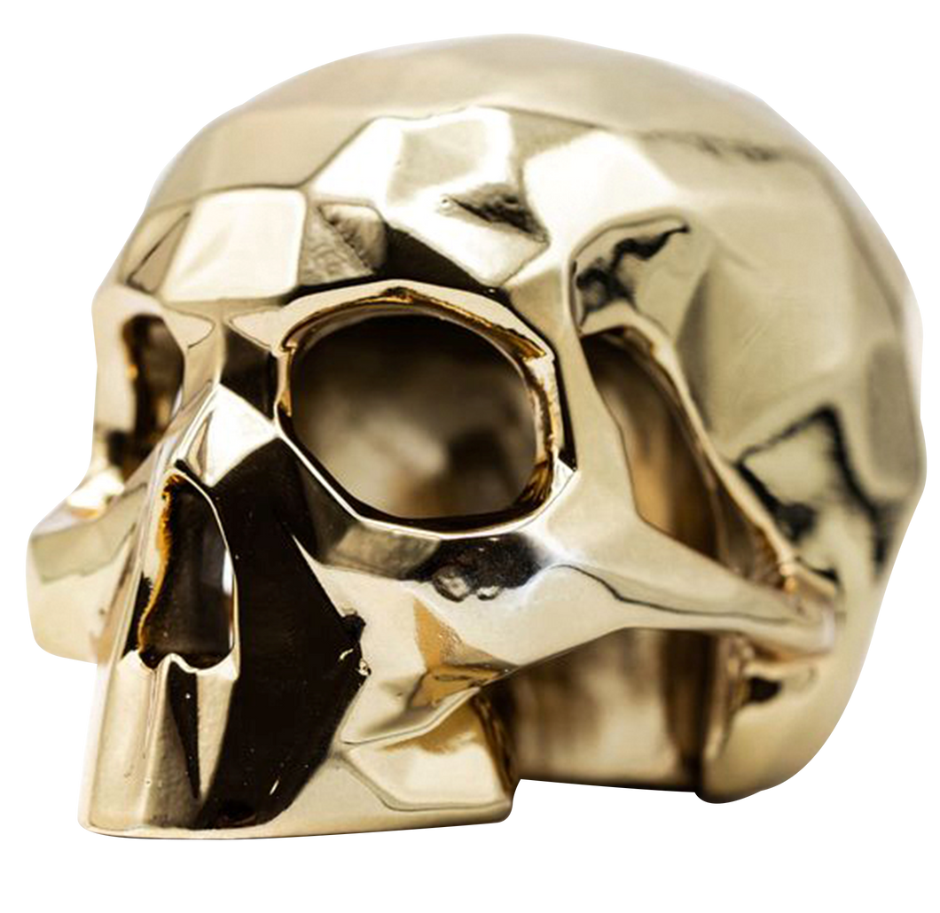 Sculpture Crâne Richard ORLINSKI + Vitrine