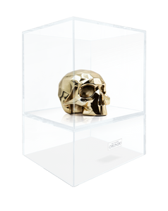 Sculpture Crâne Richard ORLINSKI + Vitrine